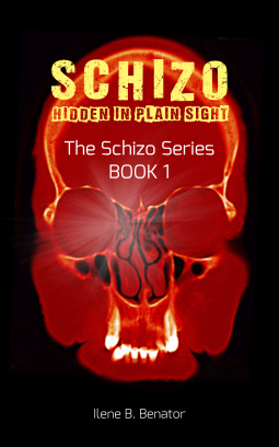 book cover for Schizo