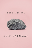 book cover for The Idiot