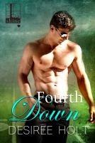 book cover for Fourth Down