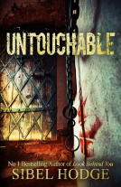 book cover for Untouchable