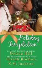 book cover for Holiday Temptation