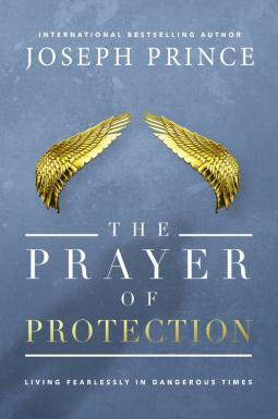book cover for The Prayer of Protection