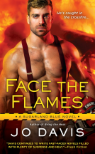 book cover for Face the Flames