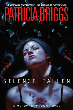 book cover for Silence Fallen
