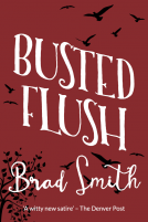 book cover for Busted Flush