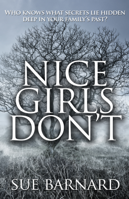 book cover for Nice Girls Don't