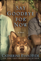 book cover for Say Goodbye for Now