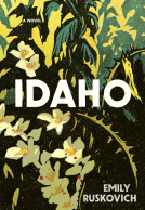 book cover for Idaho