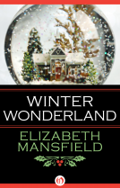 book cover for Winter Wonderland