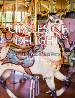 book cover for Circles of Delight