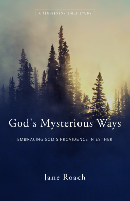 book cover for God's Mysterious Ways