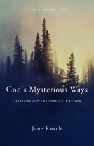 book cover for God's Mysterious Ways