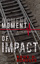 book cover for MOMENT of IMPACT