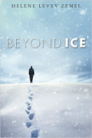 book cover for Beyond Ice