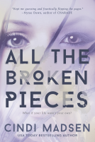 book cover for All the Broken Pieces