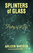 book cover for Splinters of Glass