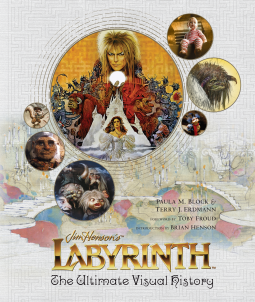 book cover for Labyrinth
