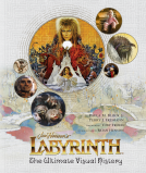 book cover for Labyrinth