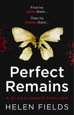 book cover for Perfect Remains