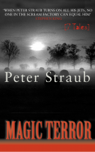 book cover for Magic Terror