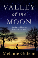 book cover for Valley of the Moon