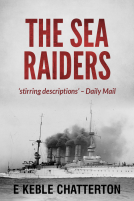 book cover for The Sea Raiders