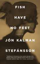 book cover for Fish Have No Feet