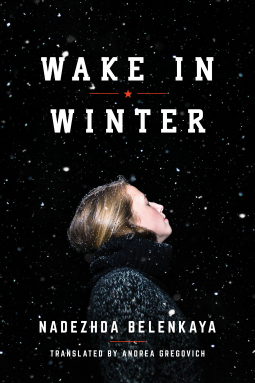 book cover for Wake in Winter