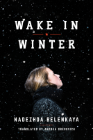 book cover for Wake in Winter