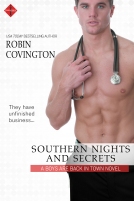 book cover for Southern Nights and Secrets