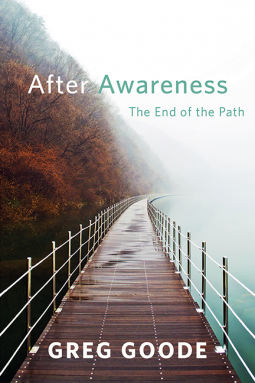 book cover for After Awareness