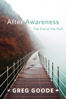 book cover for After Awareness