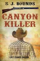 book cover for Canyon Killer