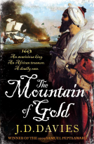 book cover for Mountain of Gold