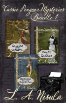 book cover for Cassie Pengear Mysteries