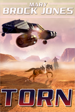 book cover for Torn