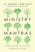 book cover for Ministry Mantras