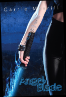 book cover for Angel Blade