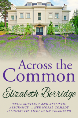 book cover for Across the Common