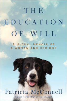 book cover for The Education of Will