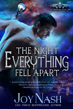 book cover for The Night Everything Fell Apart