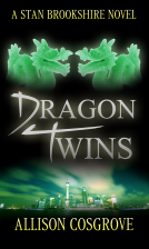 book cover for Dragon Twins