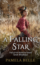 book cover for A Falling Star
