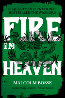 book cover for Fire in Heaven