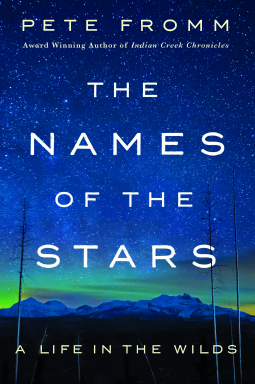 book cover for The Names of the Stars