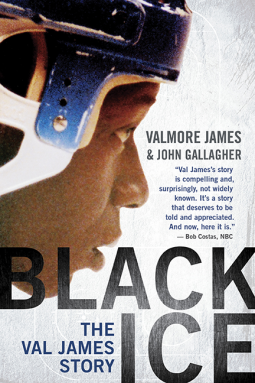 book cover for Black Ice