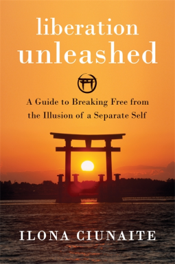 book cover for Liberation Unleashed