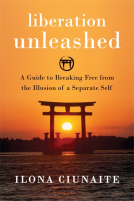 book cover for Liberation Unleashed