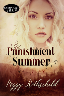 book cover for Punishment Summer