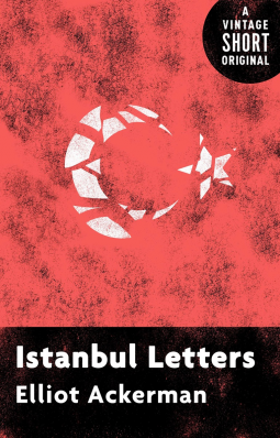 book cover for Istanbul Letters